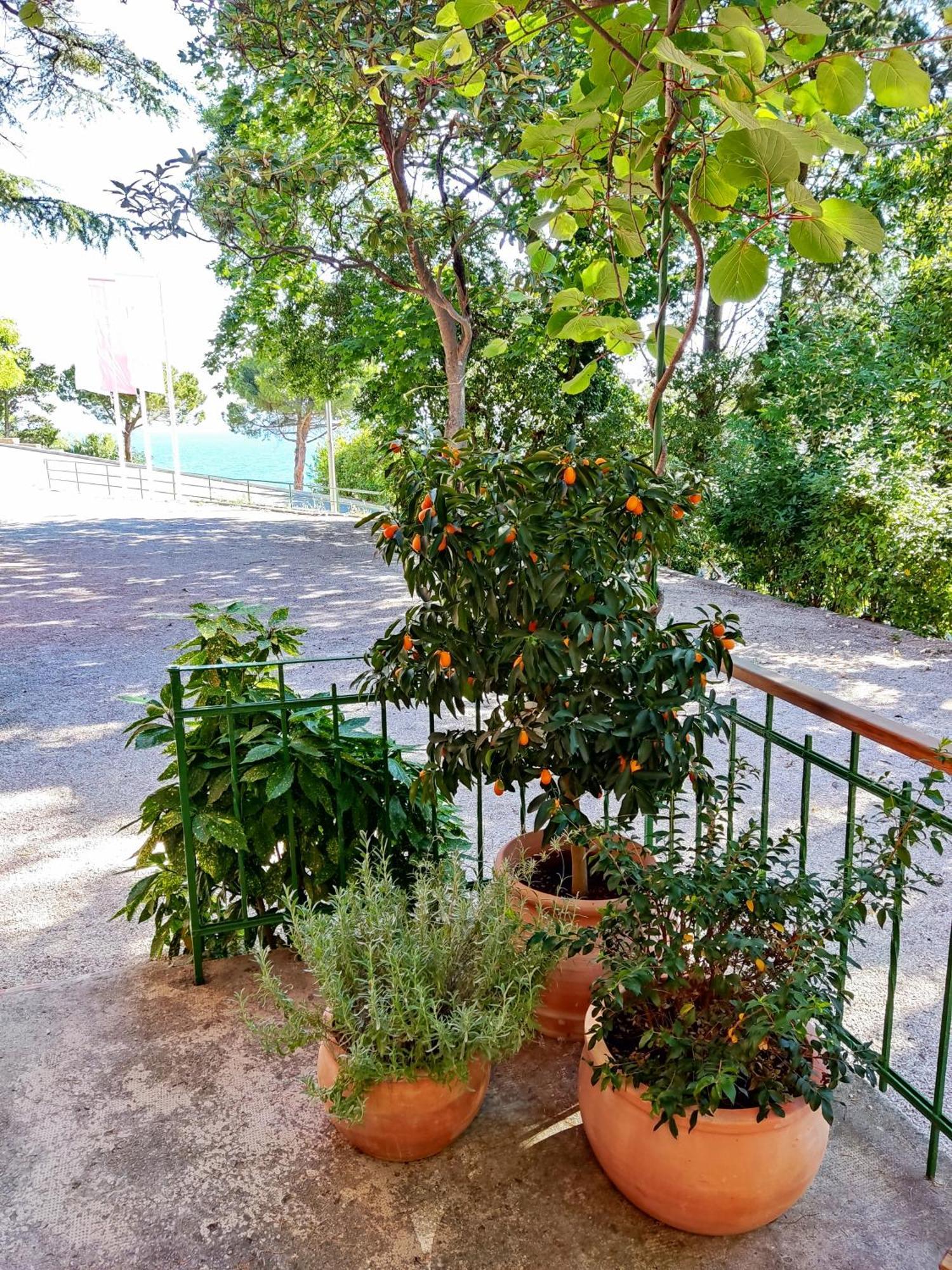 Morski Gaj Resort Piran Luaran gambar